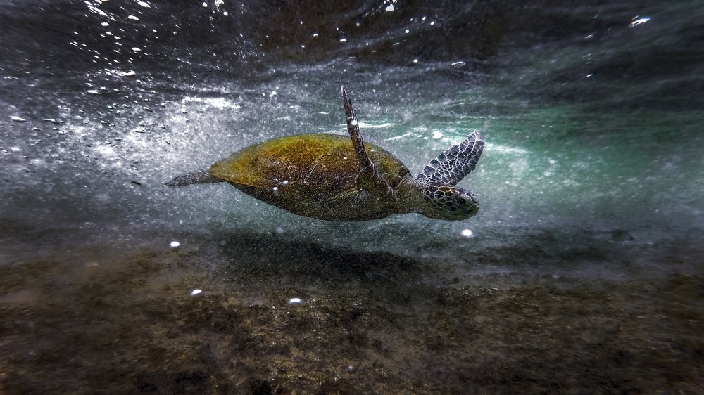 Photograph by Илья Иванов