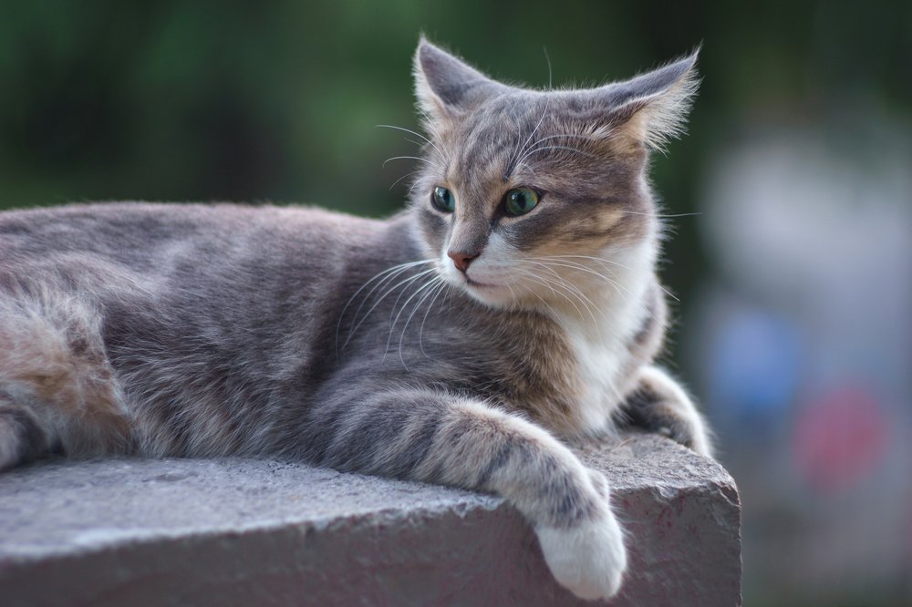 Photograph by Дмитрий Цыпляев