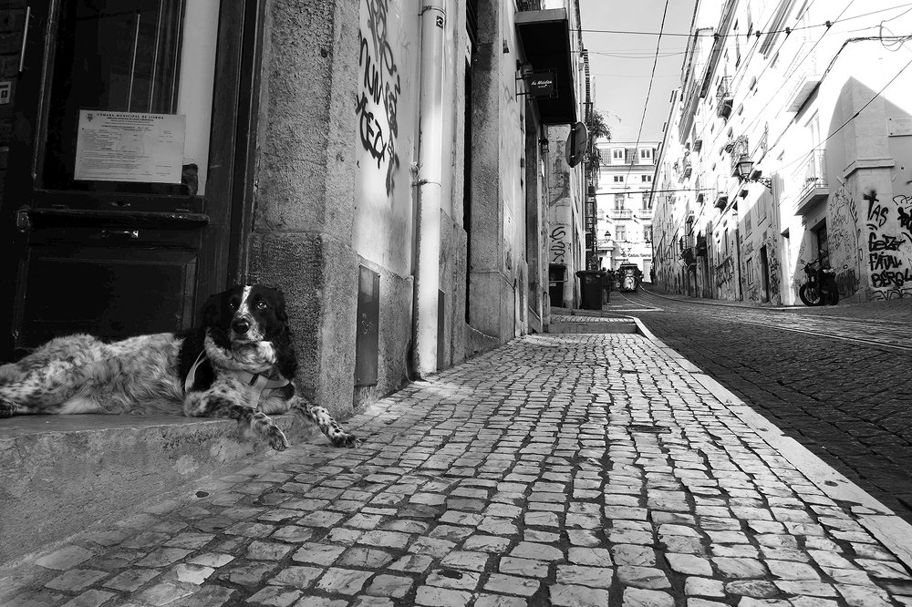 Photograph by Polina Barbashov