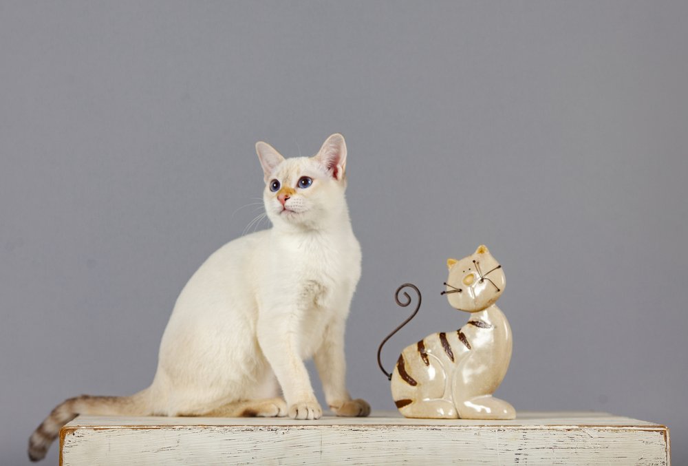 Photograph by Анна Сидоренко