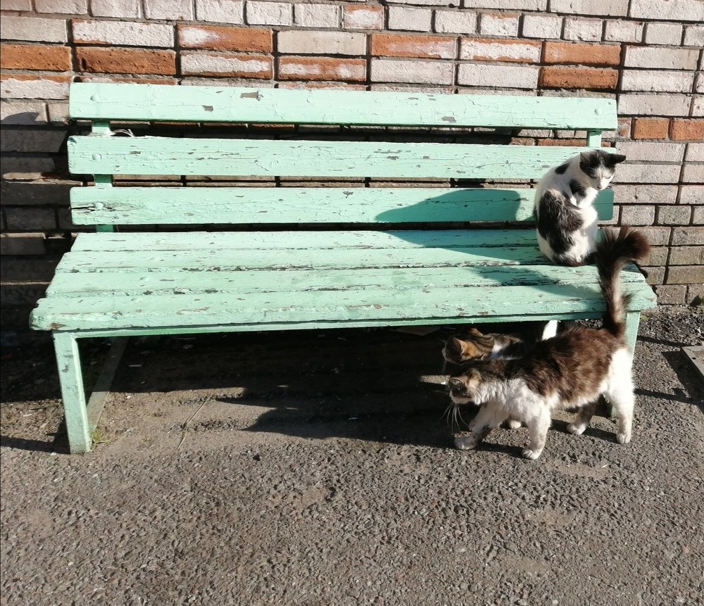 Photograph by Митя Стрельников