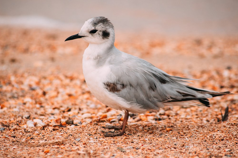 Photograph by Алена