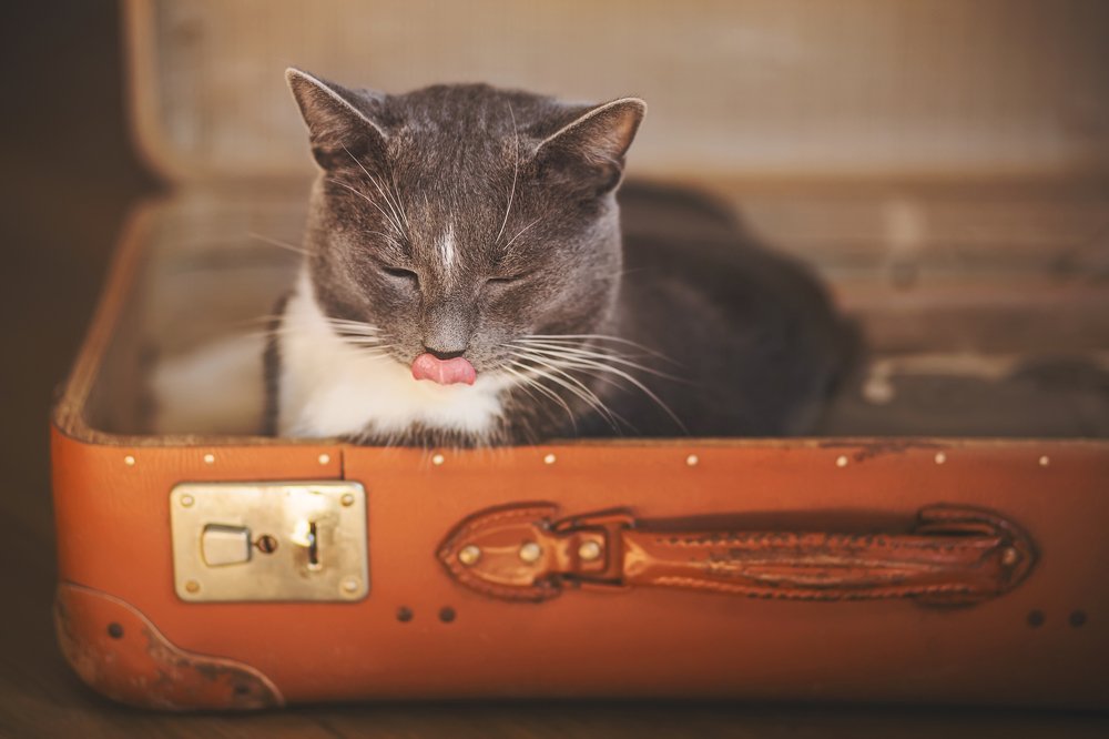 Photograph by Валерия Ватель