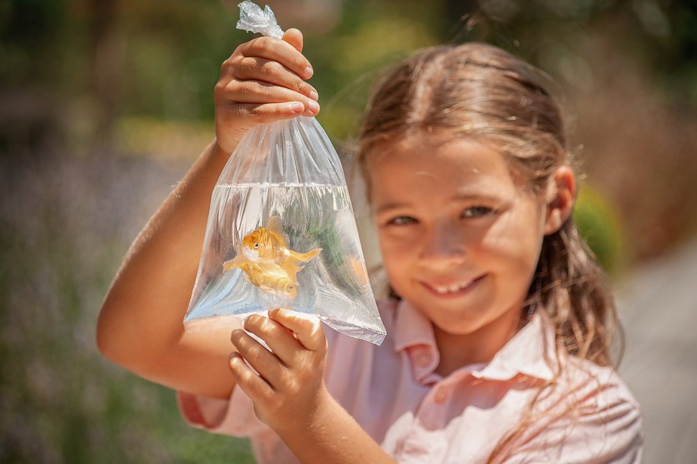 Photograph by Elena Yilmaz