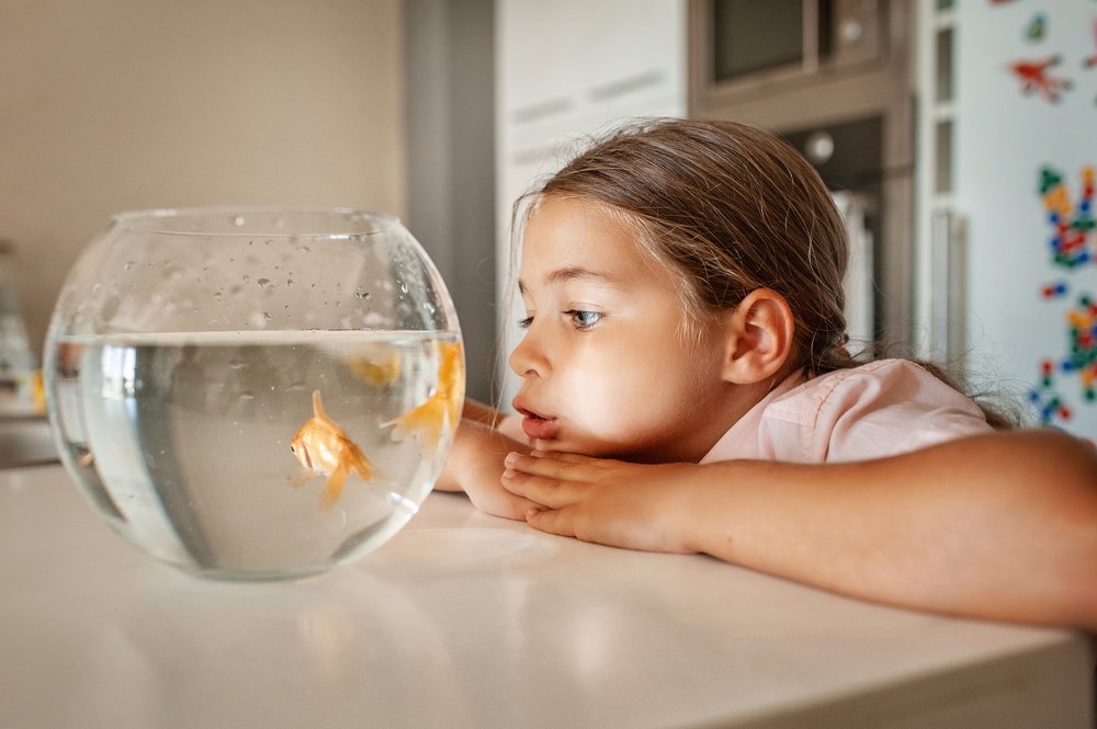 Photograph by Elena Yilmaz