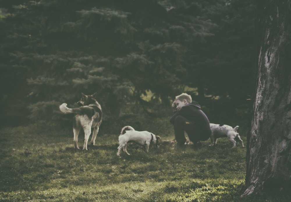 Photograph by Анатолий Григорьев