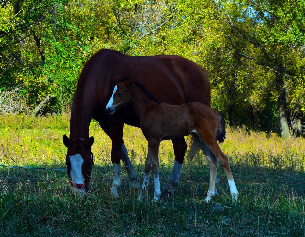 Photograph by Анатолий Григорьев