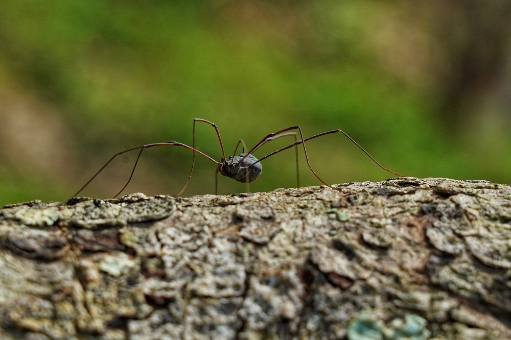 Photograph by Tu Henry