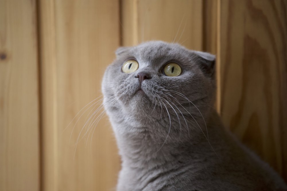 Photograph by Михаил