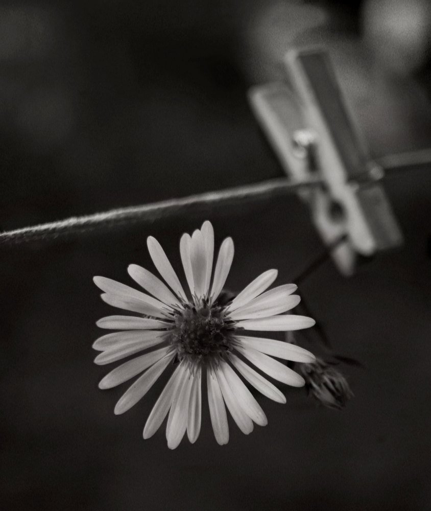 Photograph by Нина Минченко