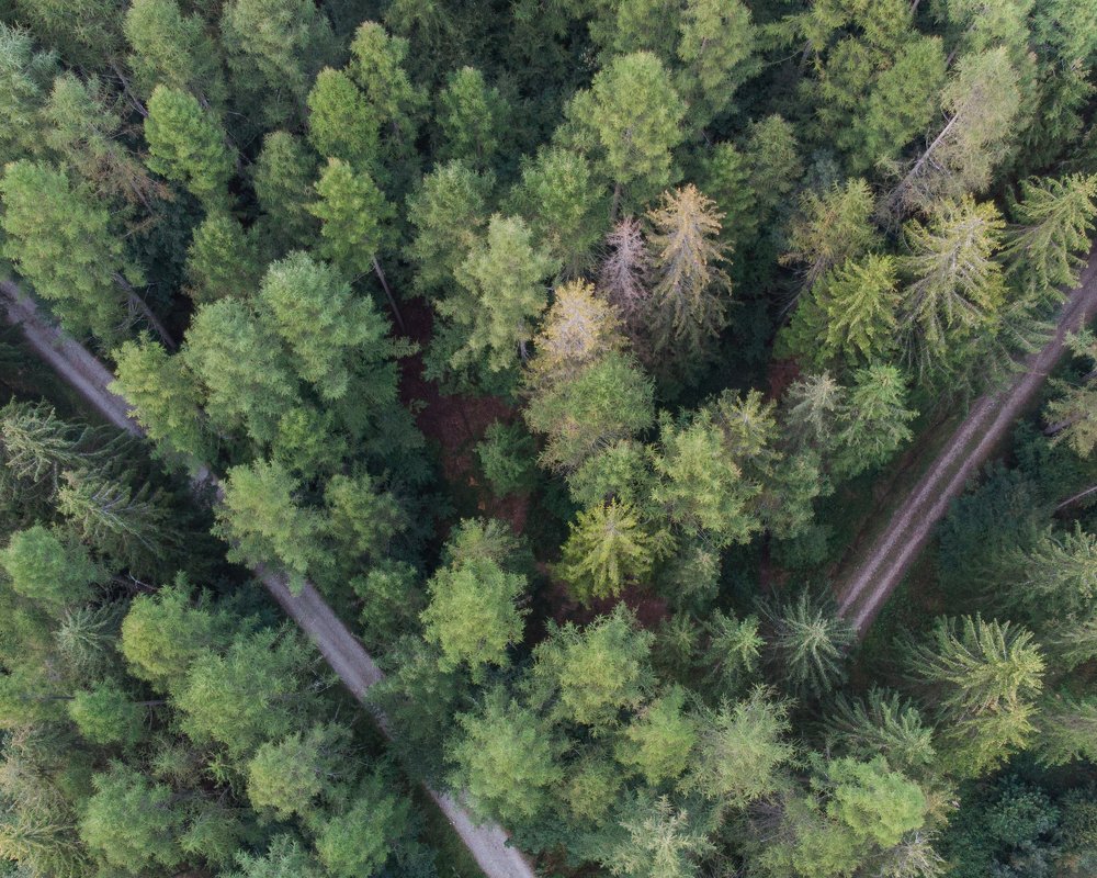 Photograph by Filip Micunda