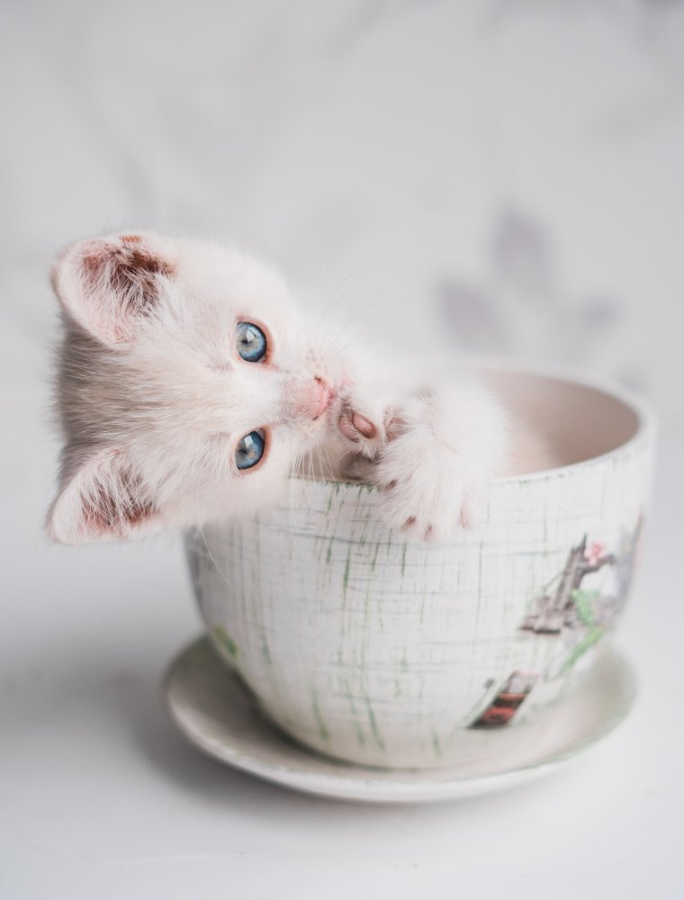 Photograph by Дарья Воронина