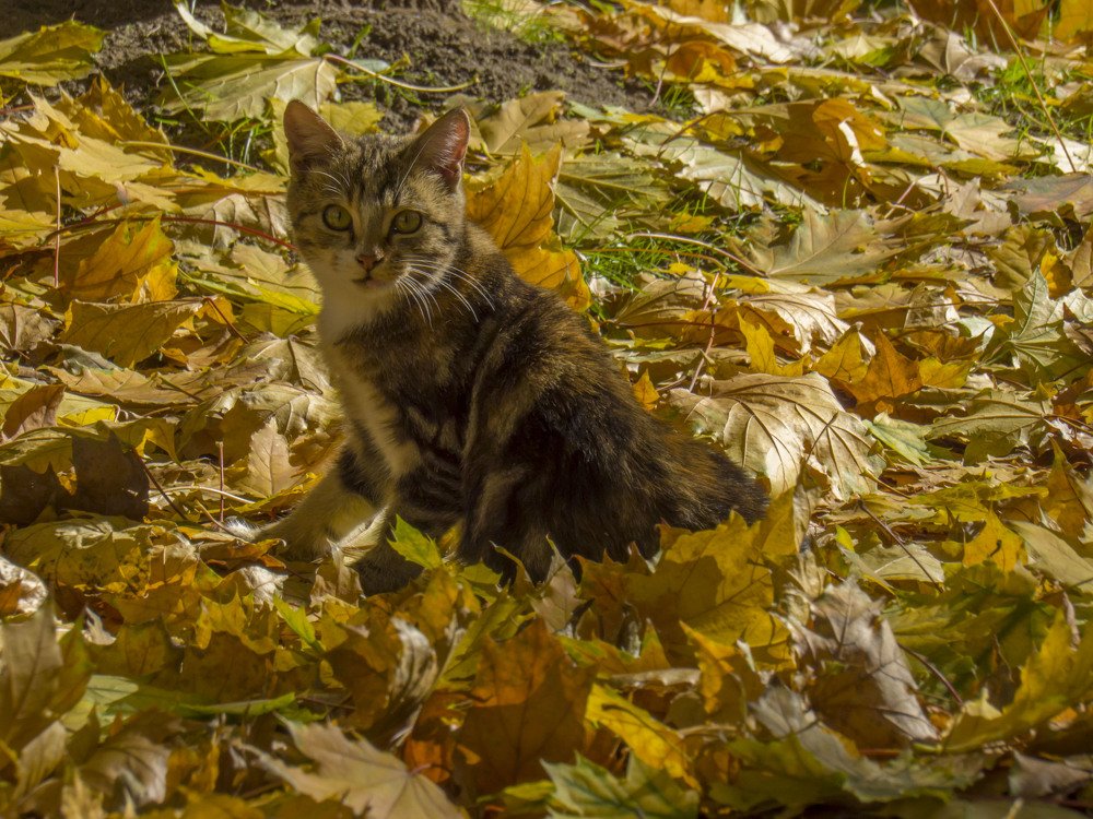 Photograph by Иван Доможирский