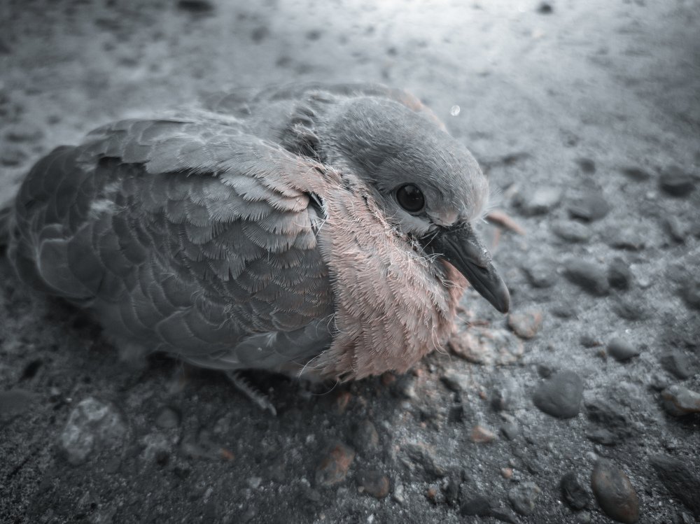 Photograph by Данила