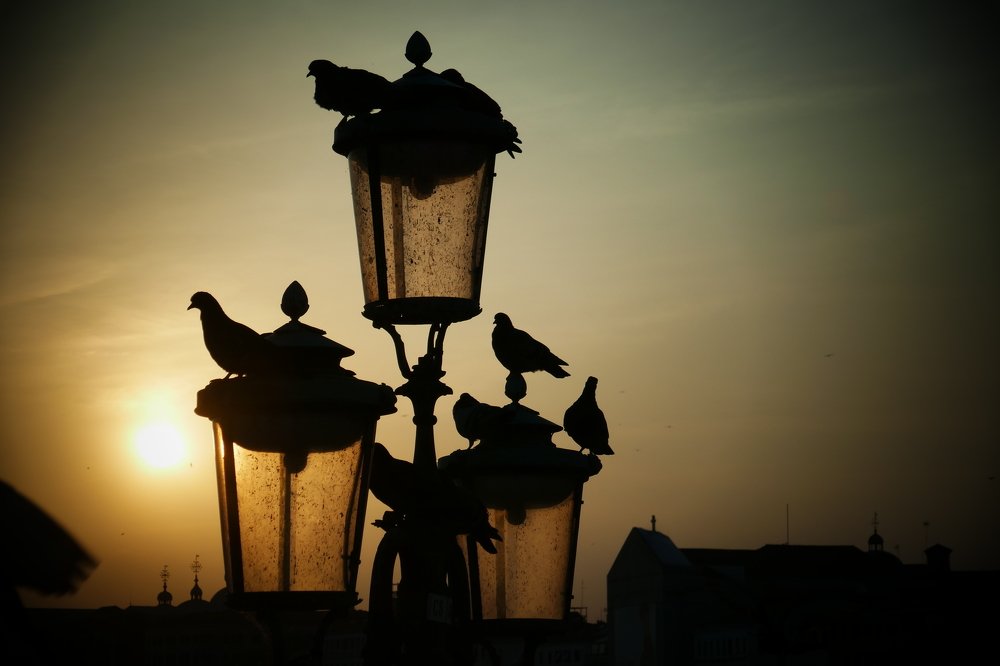 Photograph by Polina Barbashov