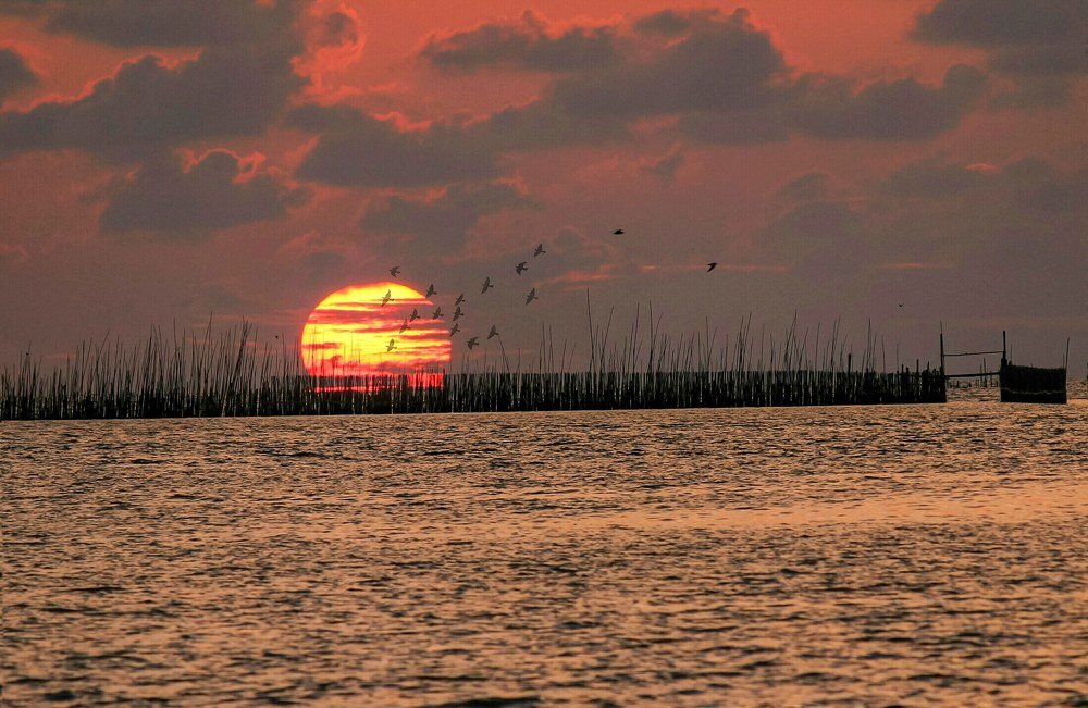 Photograph by Asril Hidayat