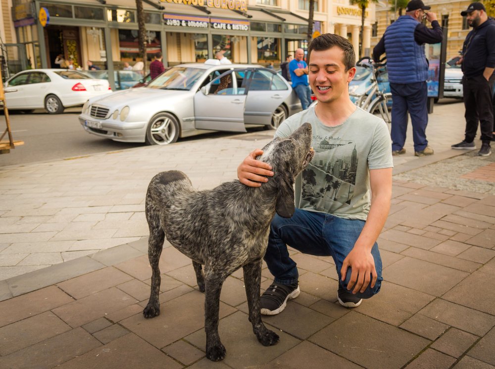 Photograph by Александр Антонов