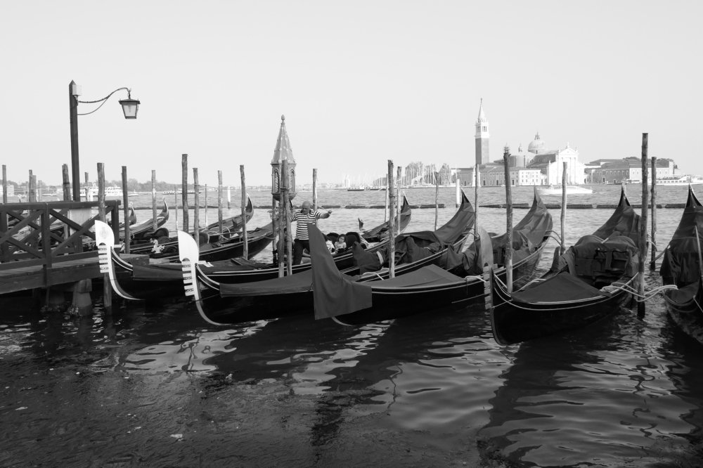 Photograph by Polina Barbashov