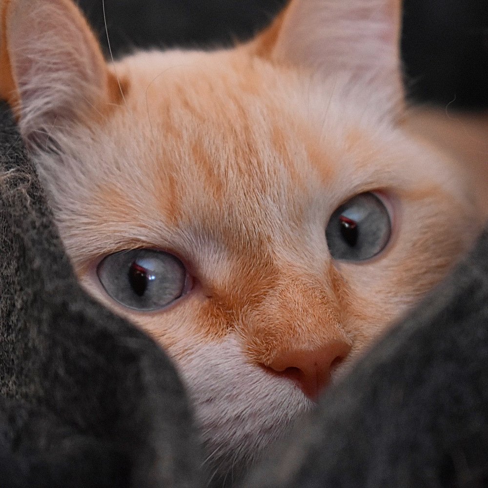 Photograph by Kira Bahvalova