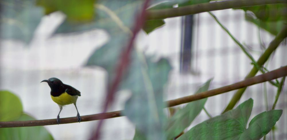 Photo #4974010