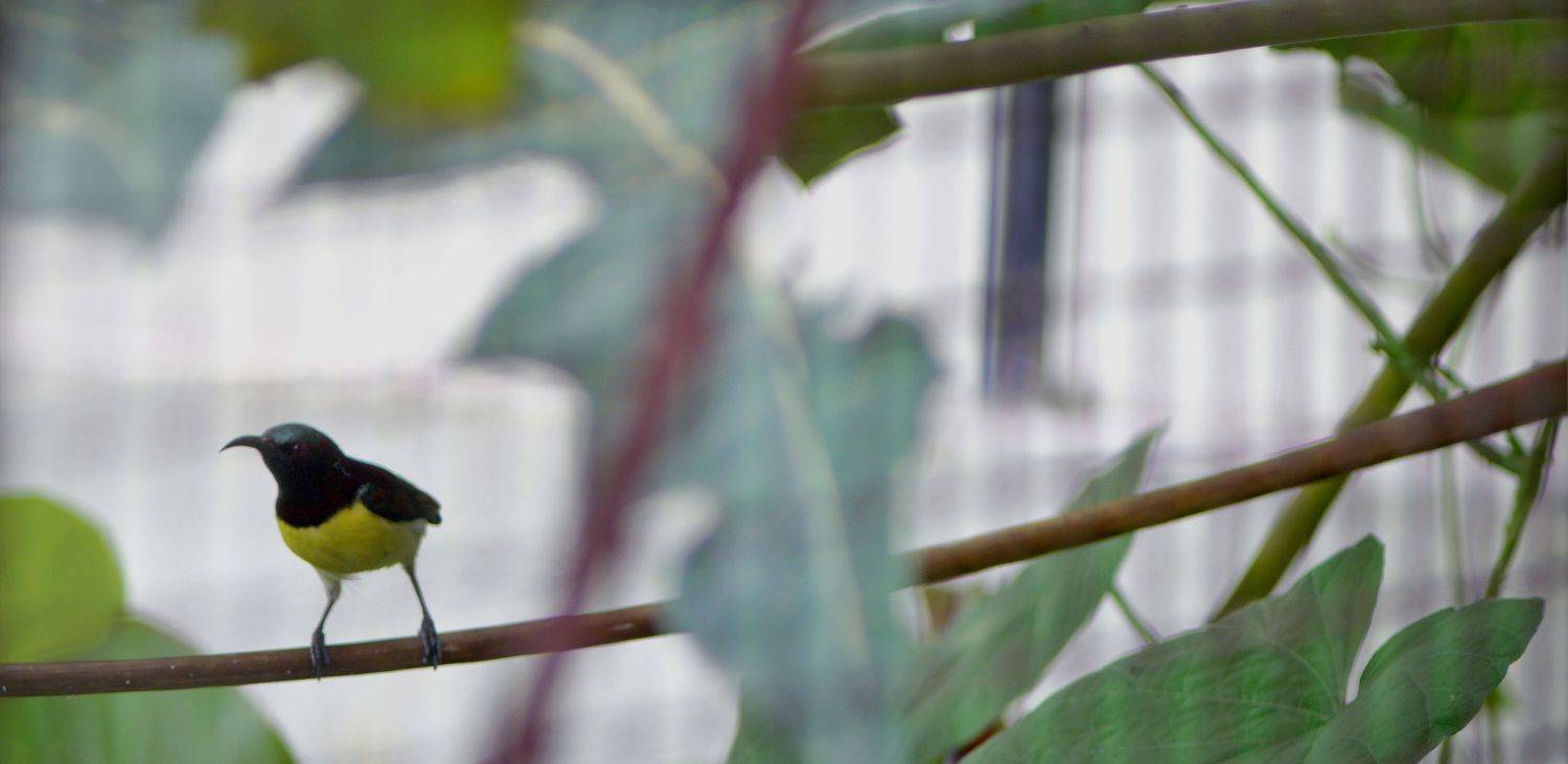Photo #4974010