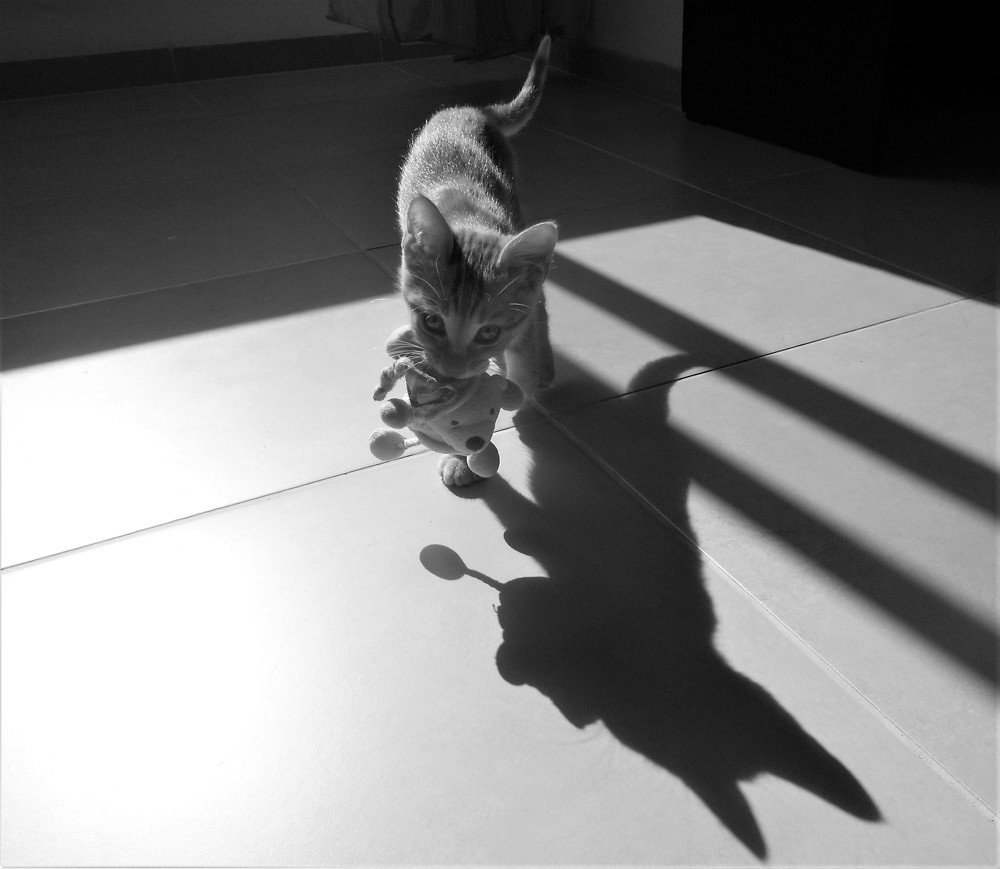 Photograph by Polina Barbashov