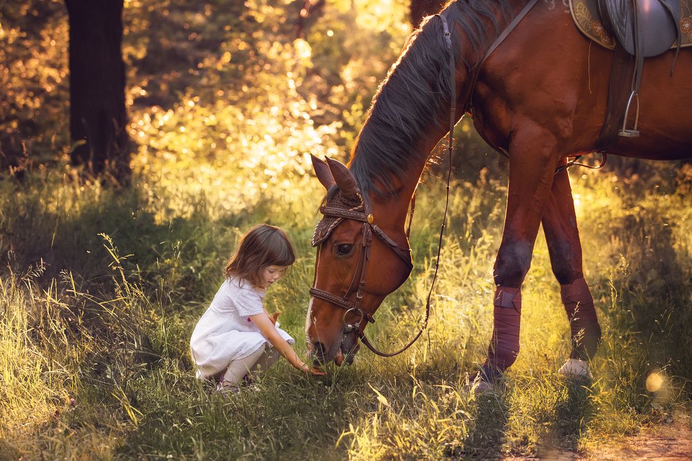 Photograph by Рыбин Сергей
