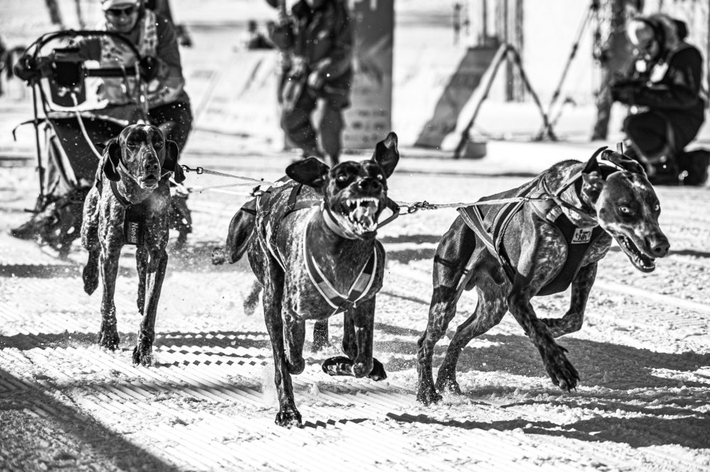 Photograph by Иван Козлов