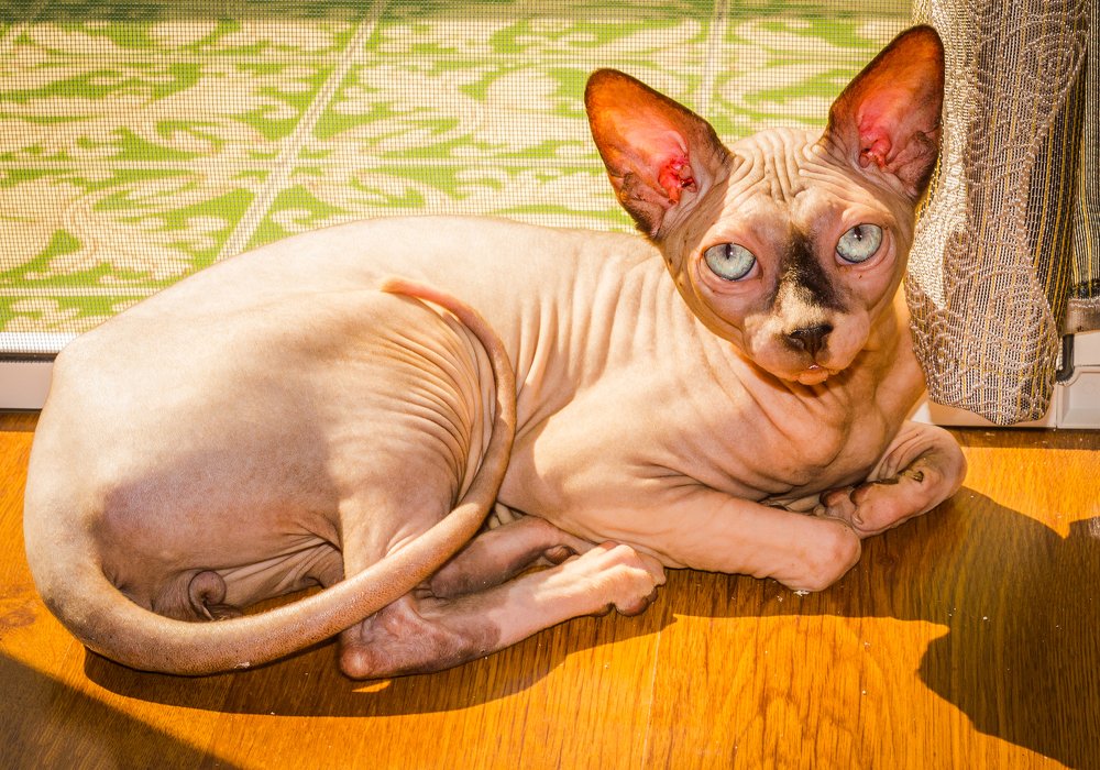 Photograph by Александр Антонов