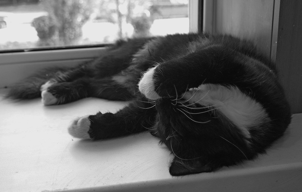 полуденный сон