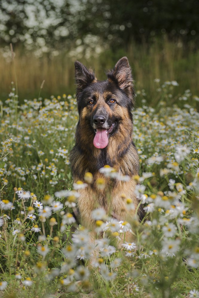 Photograph by Максим Вышарь