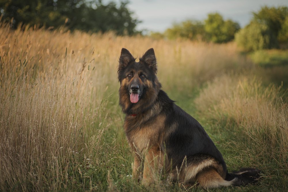 Photograph by Максим Вышарь