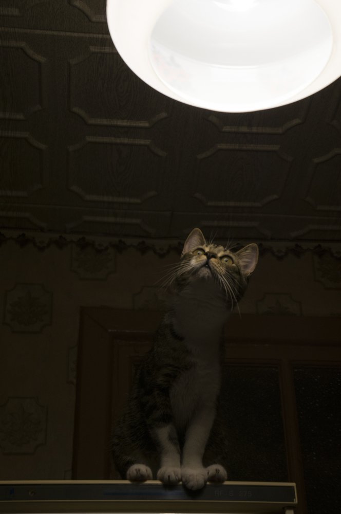 Photograph by Павел Стаценко