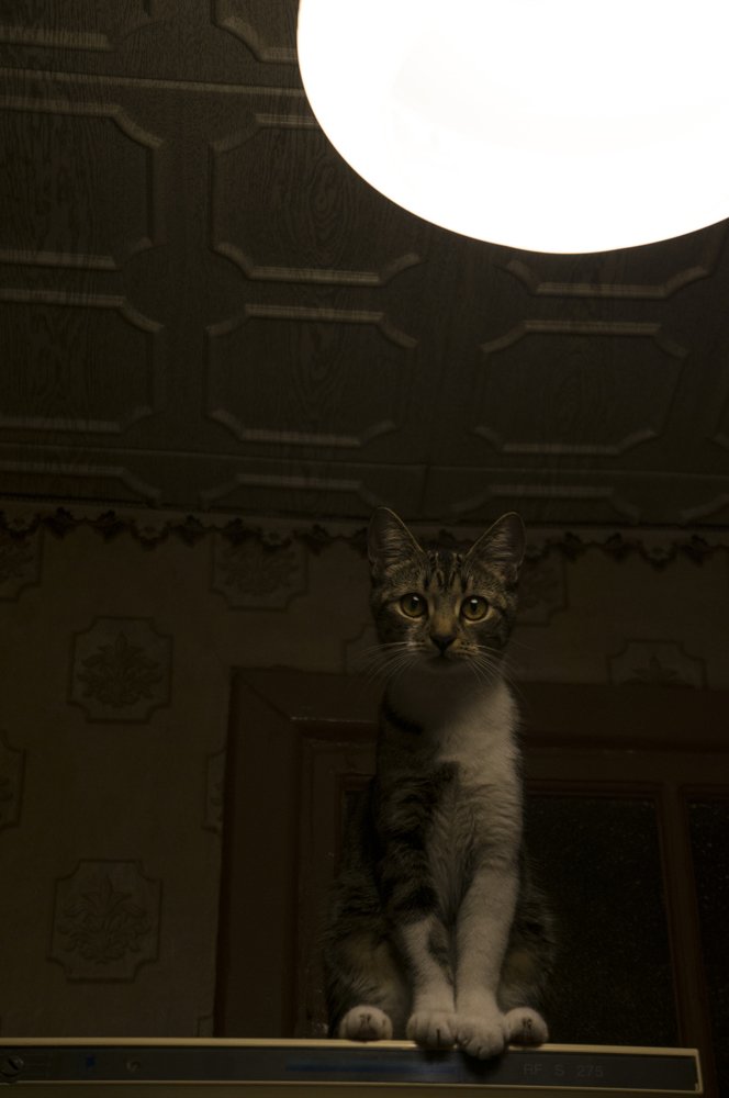 Photograph by Павел Стаценко