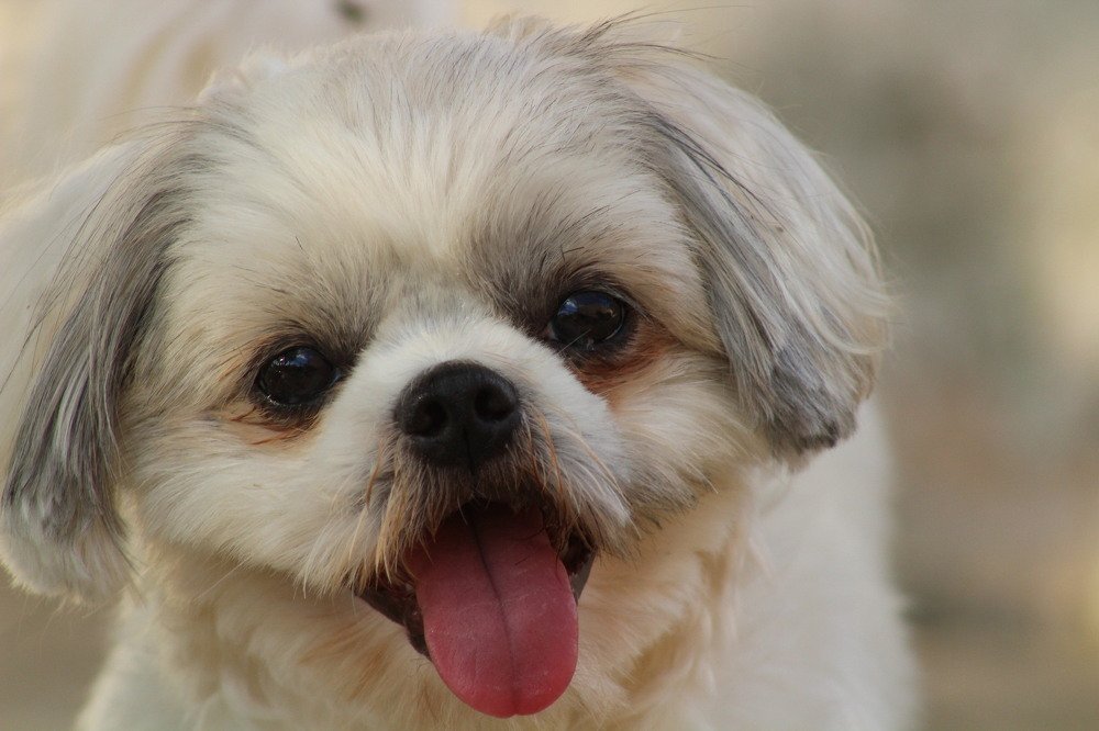 Photograph by Régis Santos