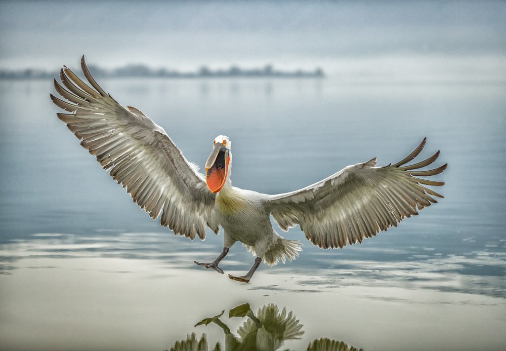 Photograph by Ruzdi Ekenheim