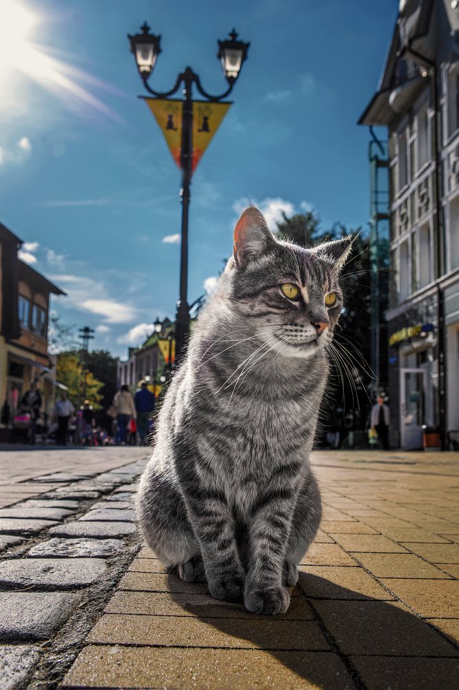 Photograph by Dmitriy Kodolov