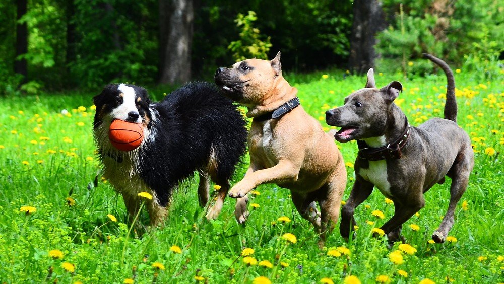 Photograph by Сергей Торхов