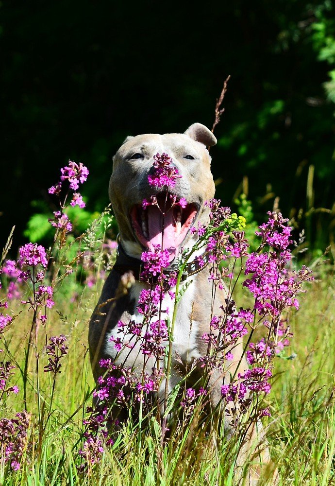 Photograph by Сергей Торхов