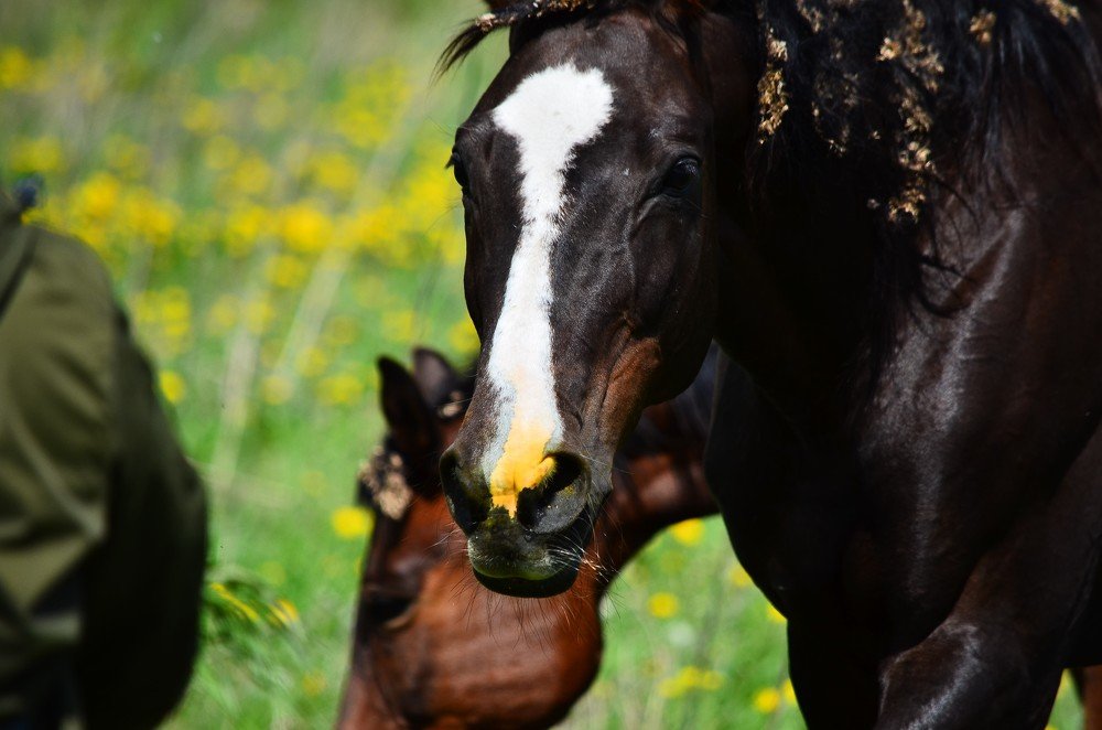 Photograph by Сергей Торхов