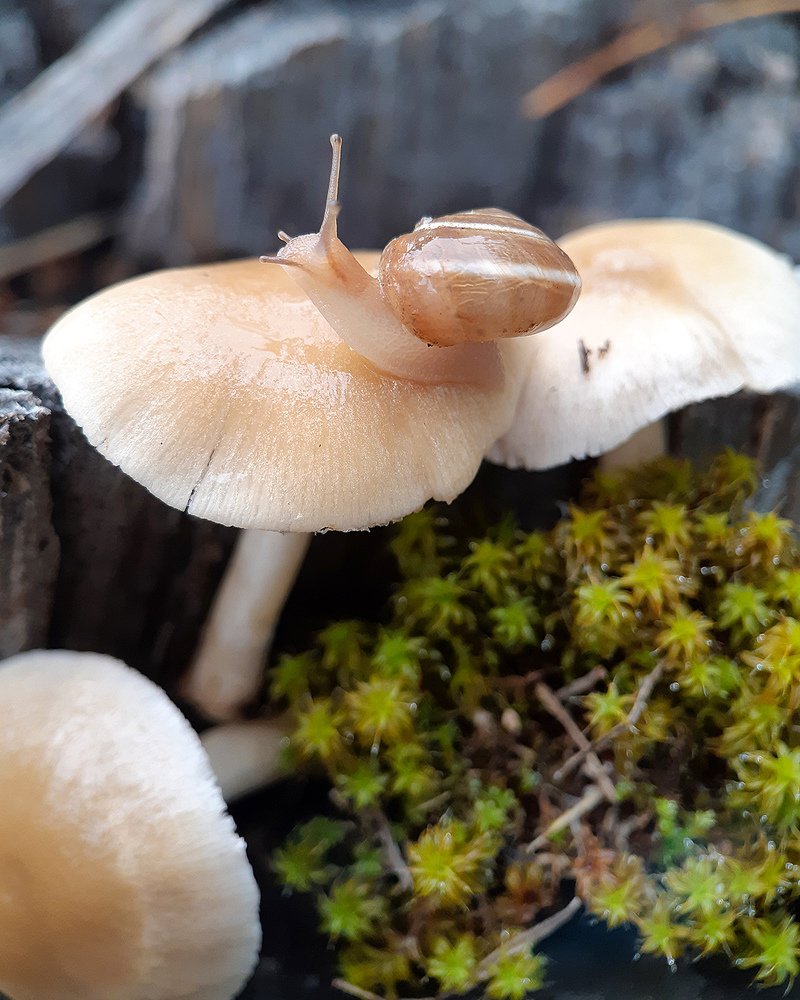 Photograph by Inessa Botasheva