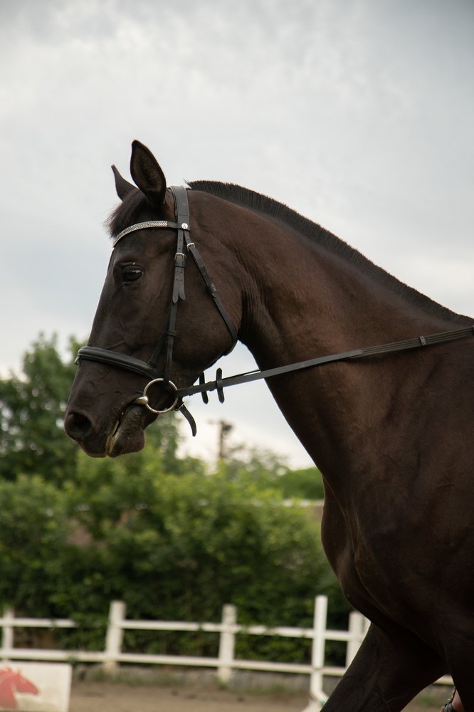 Фотография автора Валерия Шевченко