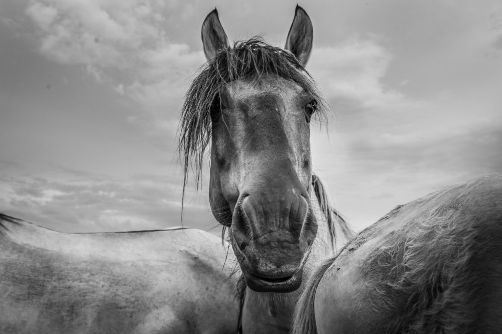 Photograph by Dzintra Zvagina