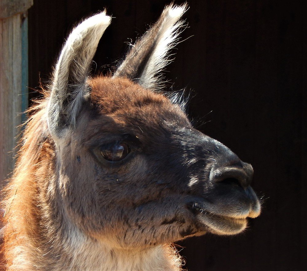 Photograph by Ирина Самойленко