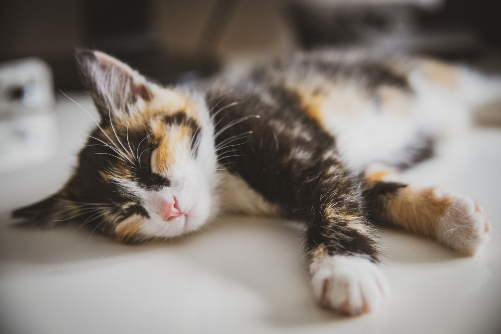 Photograph by Игорь Архипов