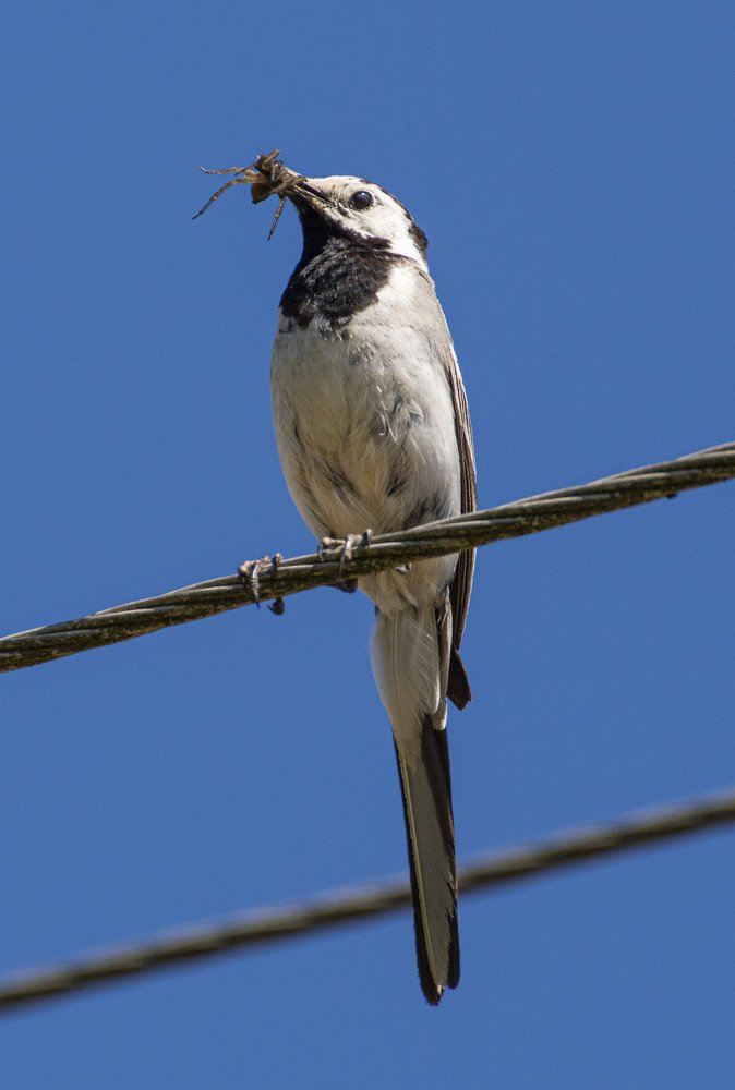 Photograph by Игорь Архипов