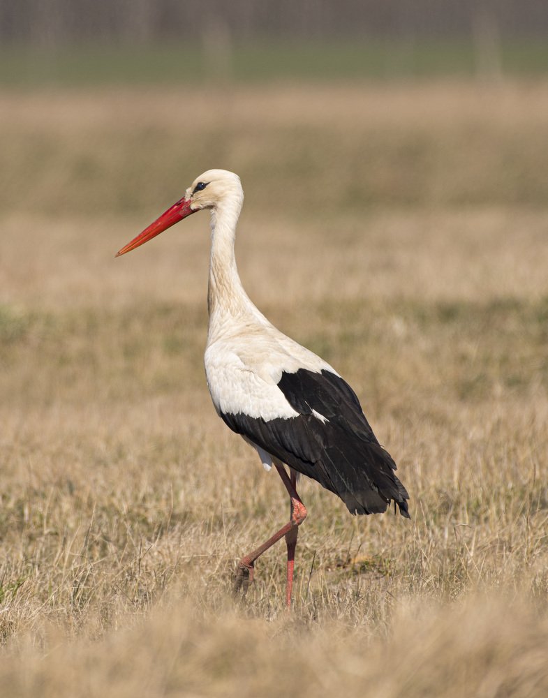 Photograph by Игорь Архипов