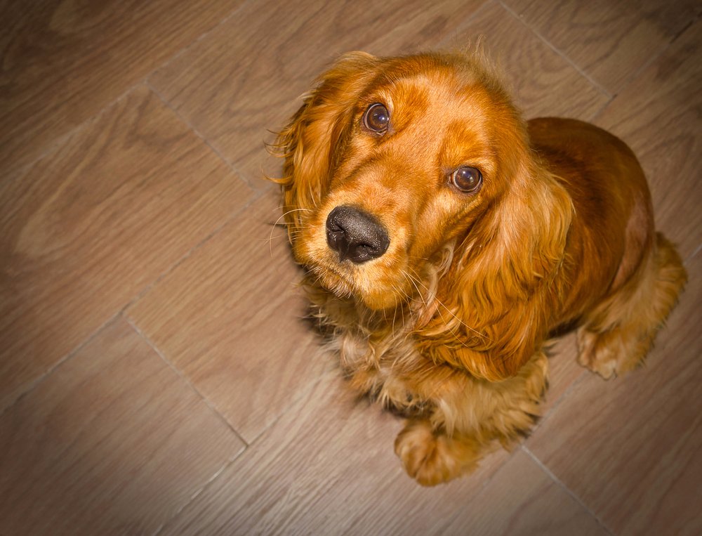 Photograph by Александр Антонов