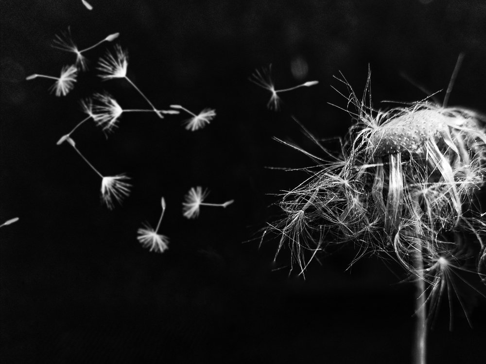 Photograph by Оксана Маракушина