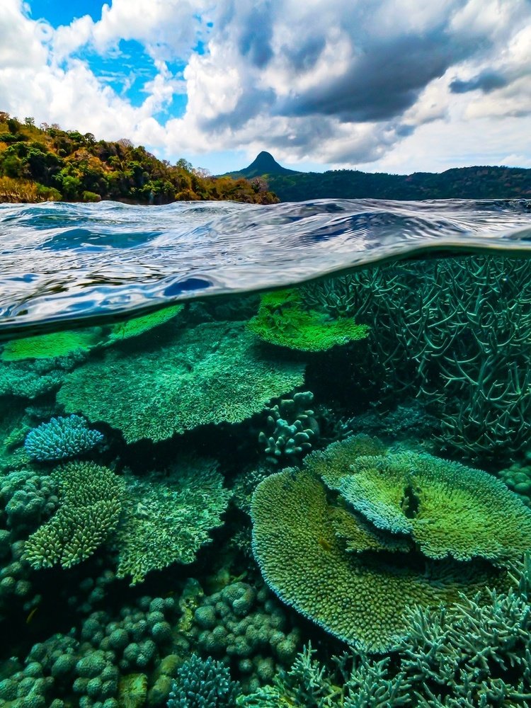 Photograph by Serge Melesan